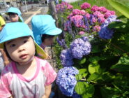 お散歩